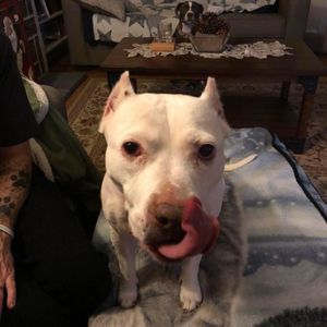 Meet your Posher, Jeanne